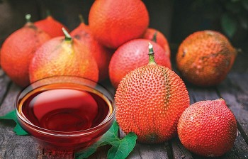 Hạt gấc giúp hỗ trợ điều trị nám rất tốt