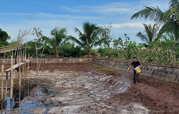 Anh Nguyễn Văn Sơn cải tạo ao nuôi chuẩn bị xuống giống vụ ốc mới.
