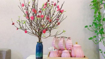 Bí quyết giữ hoa đào tươi lâu, hết Tết hoa vẫn rực rỡ trên cành
