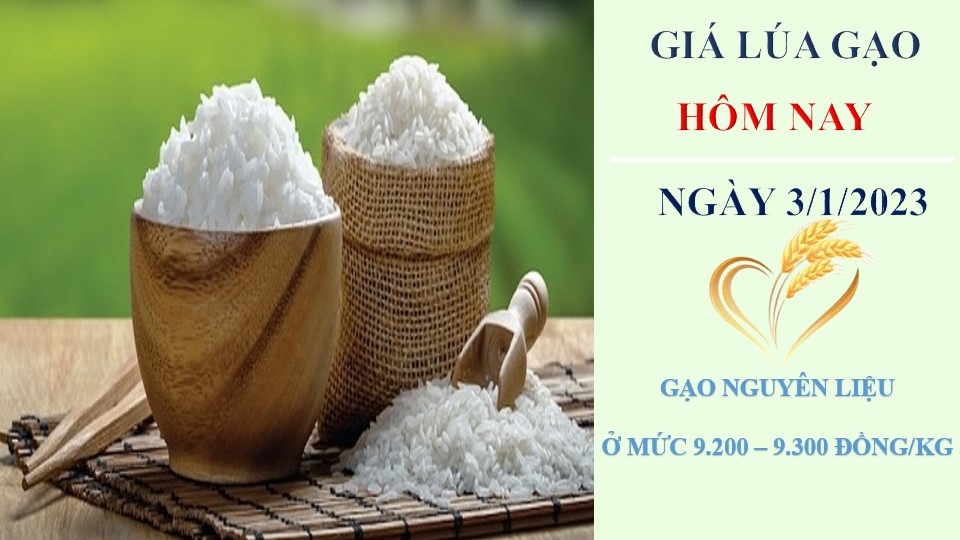Giá lúa gạo hôm nay 3/1/2023: Thị trường tích cực, giá neo cao