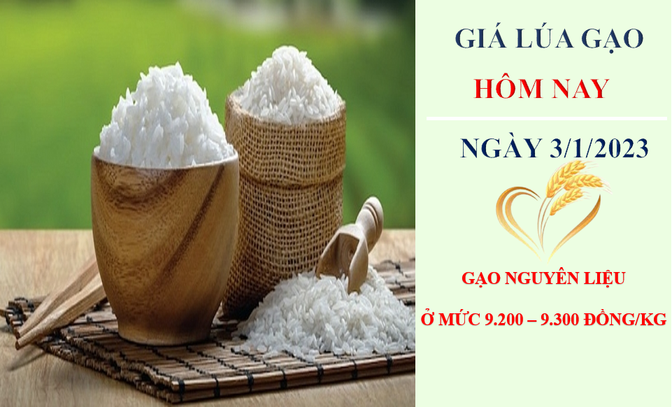 Giá lúa gạo hôm nay 3/1/2023: Thị trường tích cực, giá neo cao Giá lúa gạo hôm nay 3/1/2023: Thị trường tích cực, giá neo cao