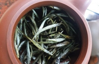 Loại trà nhìn mốc trắng ai ngờ là sản vật cực hiếm, giới nhà giàu săn lùng chi vài trăm triệu dịp Tết