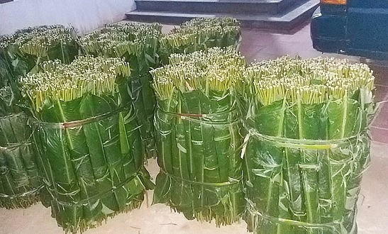 Những bó lá dong được buộc cẩn thận để chuyển cho thương lái. Ảnh: Tuấn Anh.