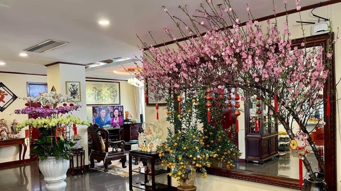 Ngày Tết hãy đặt đào, quất, mai ở vị trí phong thủy này để rước lộc vào nhà