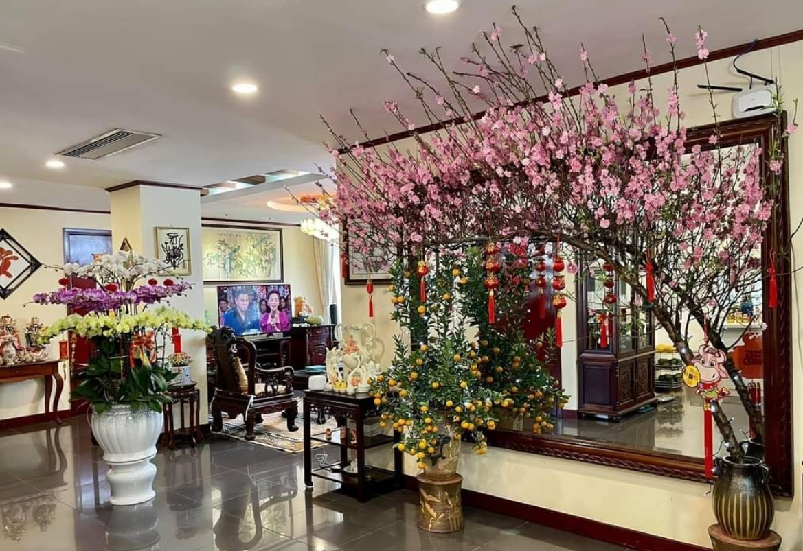 Ảnh minh họa Ảnh minh họa