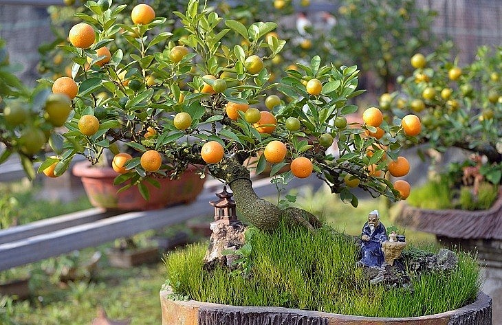 Ảnh minh họa Ảnh minh họa