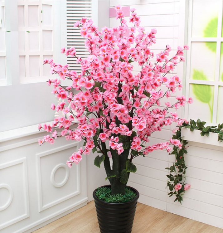 Ngày Tết hãy đặt đào, quất, mai ở vị trí phong thủy này để rước lộc vào nhà Ngày Tết hãy đặt đào, quất, mai ở vị trí phong thủy này để rước lộc vào nhà