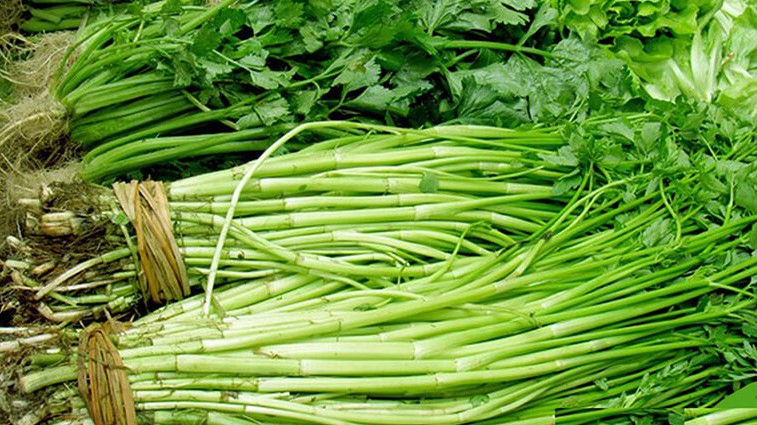 Thứ rau mùa lạnh mọc tua tủa như cỏ dại, tưởng là rau dân dã không ngờ có công dụng chữa bệnh thần kỳ