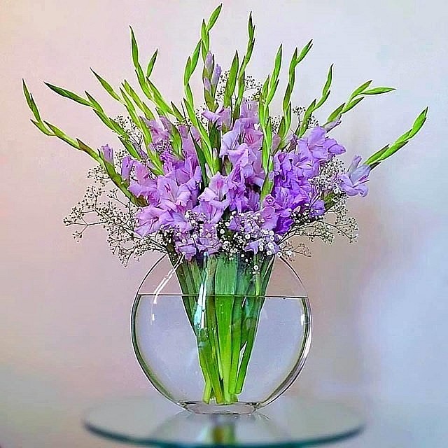 Thứ rau mùa lạnh mọc tua tủa như cỏ dại, tưởng là rau dân dã không ngờ có công dụng chữa bệnh thần kỳ