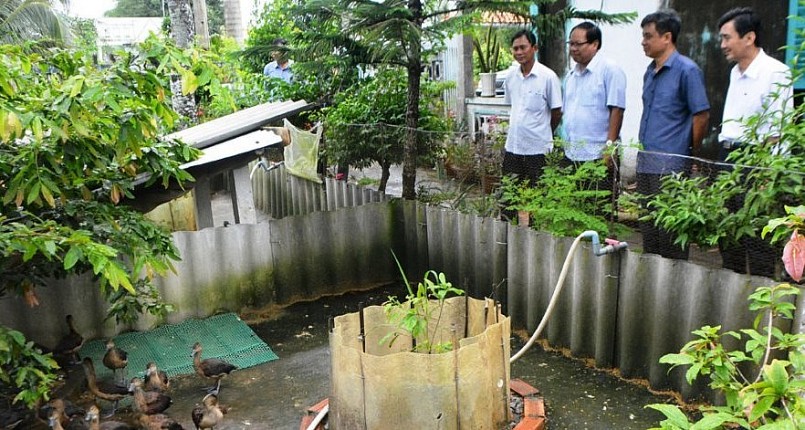 Trại nuôi loài chim hoang dã le le của anh Bình luôn thu hút sự quan tâm của người dân địa phương.