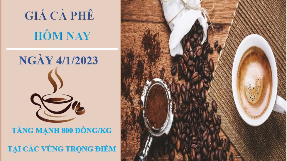 Giá cà phê hôm nay 4/1/2023: Tăng mạnh 800 đồng/kg tại các cùng trọng điểm