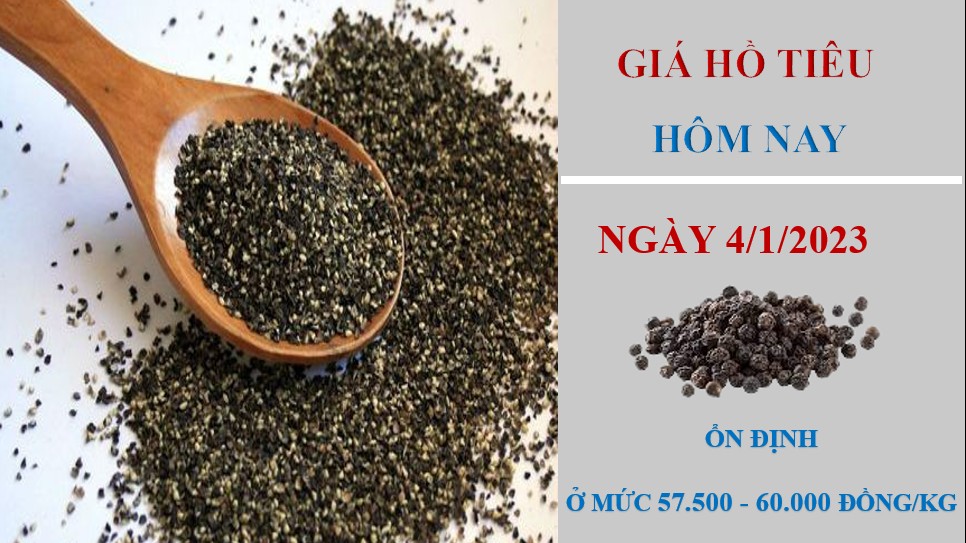 Giá hồ tiêu hôm nay 4/1/2023: Không ghi nhận biến động mới