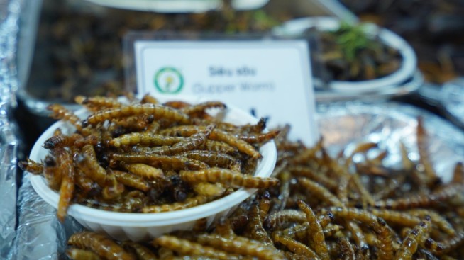 Thứ đặc sản  “ông ăn”, “bà thích”, cả nhà đều vui