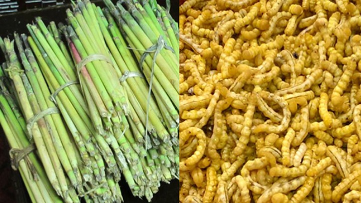 Loài đặc sản Tây Bắc khiến nhiều người giật mình, không phải ai cũng dám thử