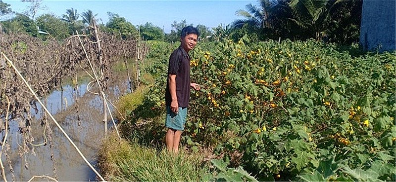 õ Thanh Hùng bên rẫy cây Dư bán tết