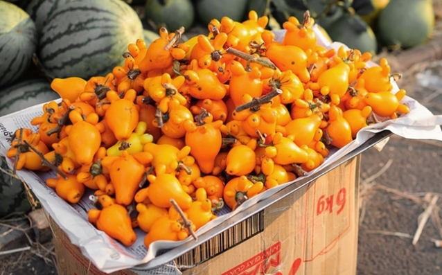 Trái dư thừa đẹp mắt nhưng chứa chất kịch độc