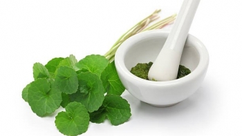 Không chỉ thanh nhiệt giải độc, cây rau má còn có những công dụng tuyệt vời khác