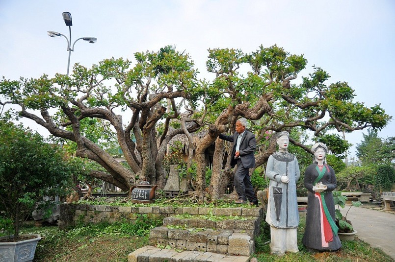  “Tôi quý cây trâm này như một bảo vật, xem nó là “đứa con” tinh thần của mình nên không muốn bán đi. Tôi nhớ nhất là có lần đoàn khách của Nhật Bản và Hàn Quốc tìm về tận đây để chiêm ngưỡng và trả giá lên tới 500.000 USD (khoảng 10 tỷ đồng), họ nài nỉ tôi chuyển nhượng nhưng tôi không chịu”, ông Ngọ tâm sự