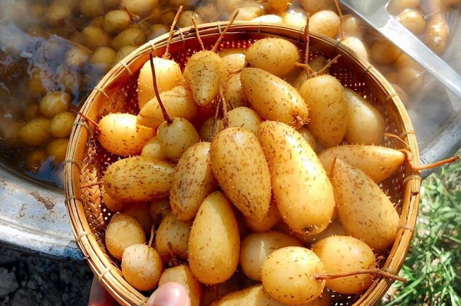 Củ lùn luộc chín ăn có vị giòn sần sật, bùi bùi, ngọt thanh tự nhiên, nhiều nước rất ngon. Ảnh: Internet