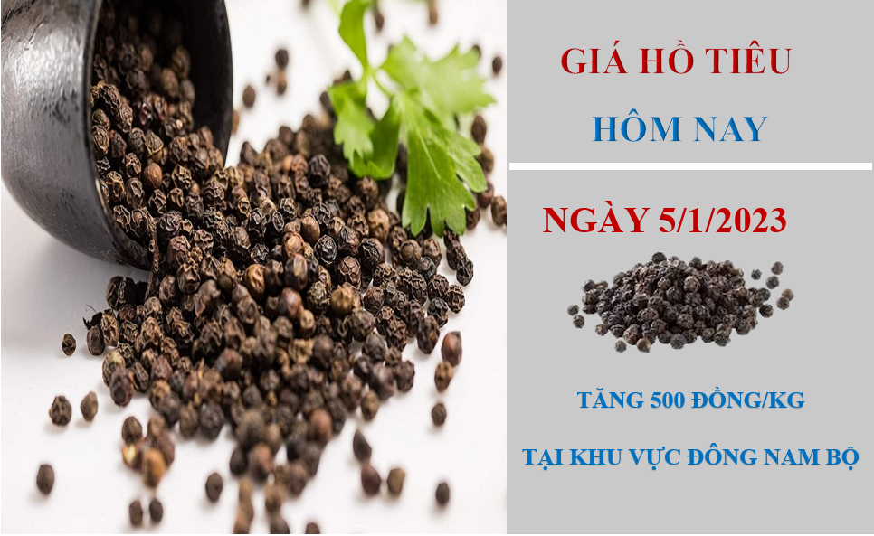 Giá hồ tiêu hôm nay 5/1/2023: Tăng 500 đồng/kg tại khu vực Đông Nam Bộ