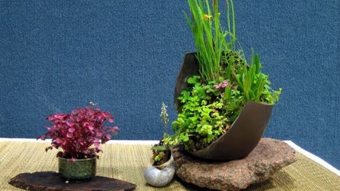 Chiêm ngưỡng bonsai rau củ lạ mắt đón Tết Nguyên đán