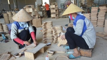 Loại cây biểu tượng của làng quê Việt, bỗng thành sản phẩm triệu đô hút khách quốc tế