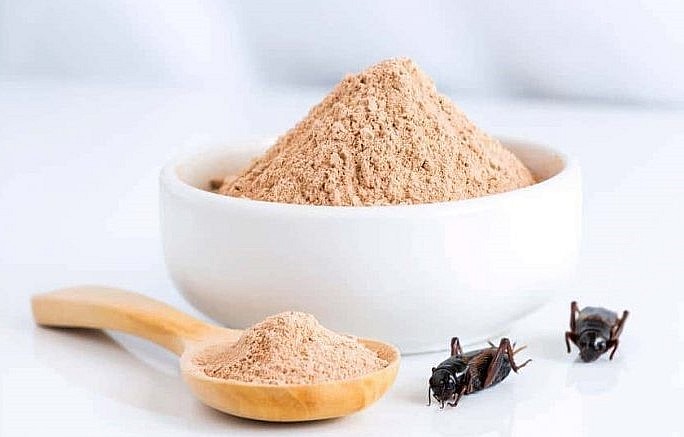 Dế được chế biến thành nguồn thực phẩm giàu protein. 