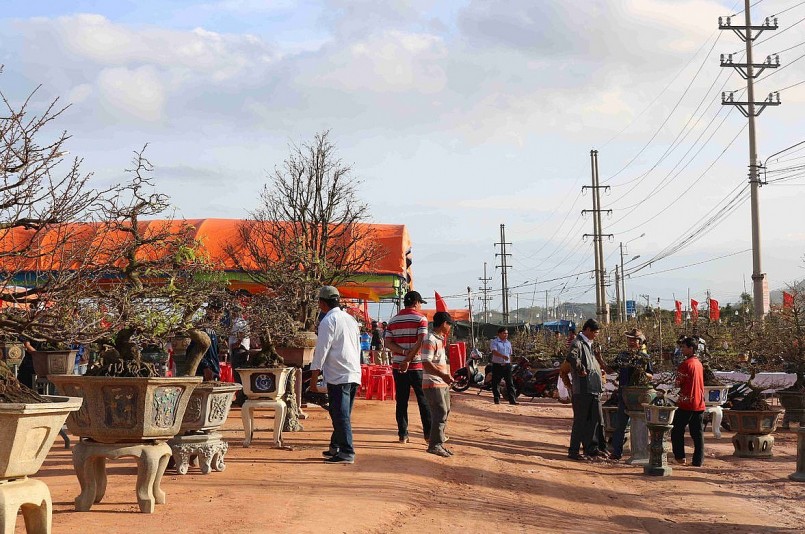 3. Mỗi dịp Tết, người sành mai lại đổ về thị xã An Nhơn để thưởng lãm sắc vàng mai Tết và chọn những chậu mai ưng ý. 3. Mỗi dịp Tết, người sành mai lại đổ về thị xã An Nhơn để thưởng lãm sắc vàng mai Tết và chọn những chậu mai ưng ý.