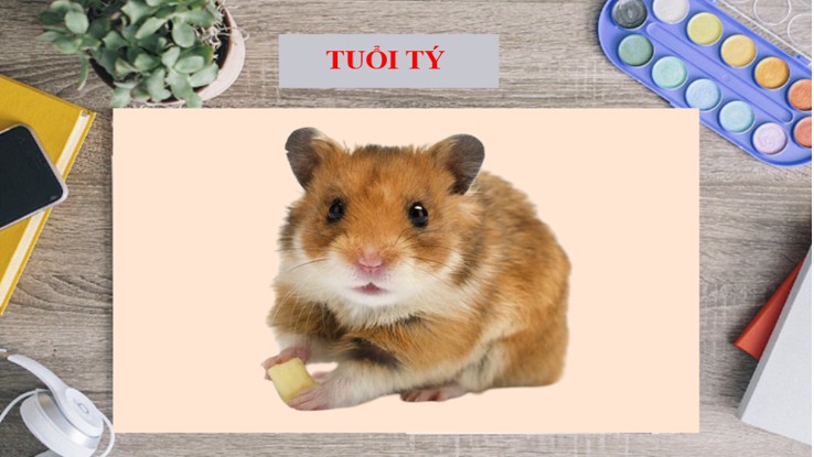 Tử vi tháng 12/2022 tuổi Tý âm lịch: Phong độ đỉnh cao những ngày cận Tết