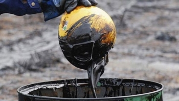 Giá dầu thô quay đầu tăng mạnh