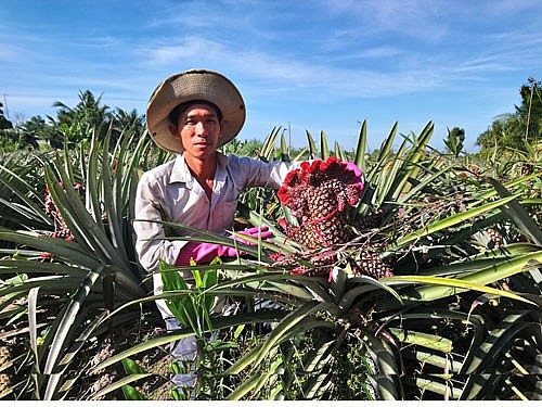 Anh Hà Kim Tình đang chăm sóc vườn khóm của gia đình Anh Hà Kim Tình đang chăm sóc vườn khóm của gia đình