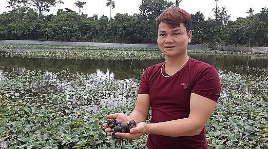 Anh Lương Hoài Giang với bí quyết nuôi ốc nhồi trong mùa đông.