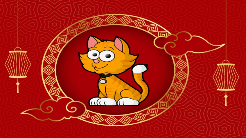 Tử vi tháng 12/2022 tuổi Mão âm lịch: Có thu hoạch nhất định, đón Tết an vui