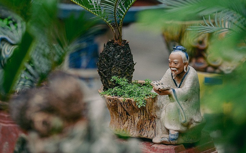 Mỗi cây vạn tuế bonsai mini đều có tên gọi riêng và được gắn thêm những bức tượng nhỏ với các tích truyện quen thuộc.