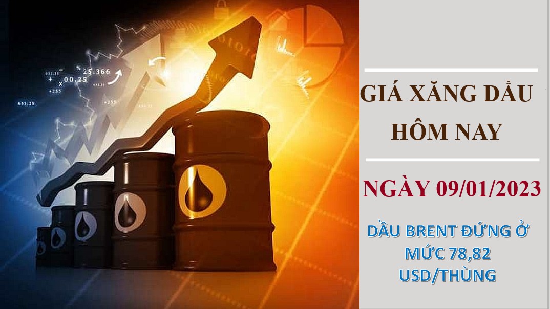 Giá dầu thô quay đầu tăng nhẹ