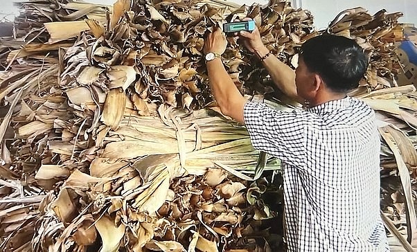 Ông Lý Minh Hùng đã phát hiện ra \'mỏ vàng\' từ bẹ chuối sấy khô.