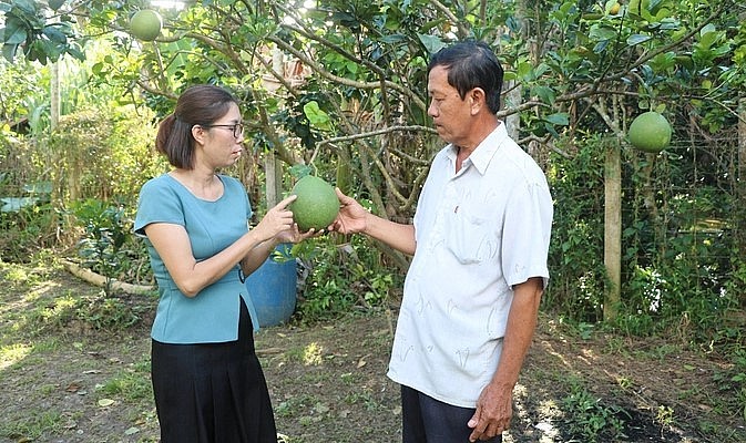 Bà Nguyễn Thị Thu Hương - Phó Cục trưởng Cục Bảo vệ thực vật trao đổi với ông Nguyễn Phước Nữa về tiêu chuẩn trái bưởi đạt chuẩn xuất khẩu sang thị trường Mỹ. Ảnh: Minh Đảm. Bà Nguyễn Thị Thu Hương - Phó Cục trưởng Cục Bảo vệ thực vật trao đổi với ông Nguyễn Phước Nữa về tiêu chuẩn trái bưởi đạt chuẩn xuất khẩu sang thị trường Mỹ. Ảnh: Minh Đảm.