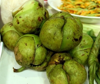 Loại quả xấu từ dáng đến tên, xưa rụng đầy không ai nhặt, nay đem om vịt “ăn ngon bỏ quên đời”