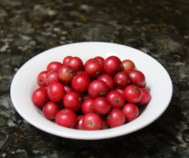 Loại quả dại ven đường không ai ăn,