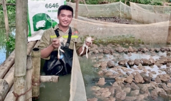 Nuôi loài ộp ộp nghe vui tai, 9X lộ bí quyết kiếm tiền tỷ mỗi năm