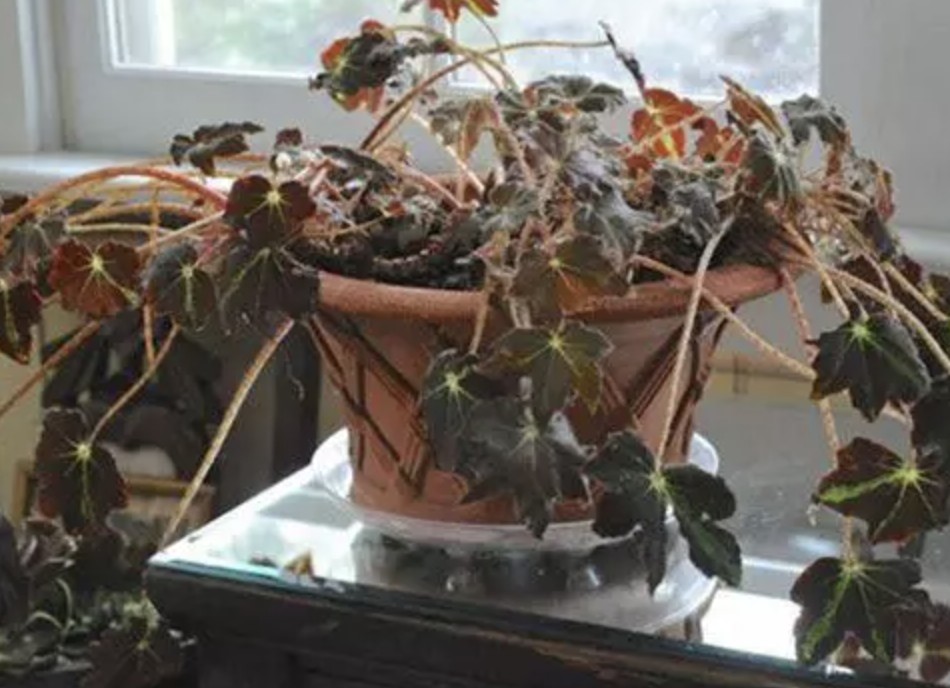 Đặc biệt kiêng kỵ những điều này vào cuối năm để tránh vận xui năm mới