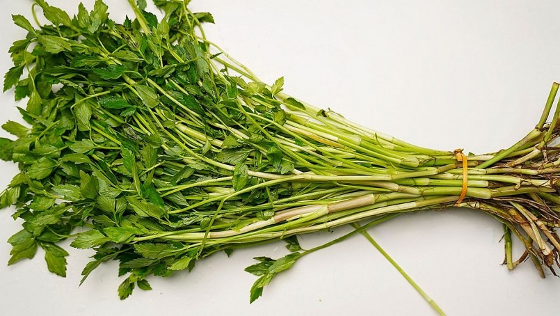 Phần gốc cần ta già thì sẽ cứng và dai hơn