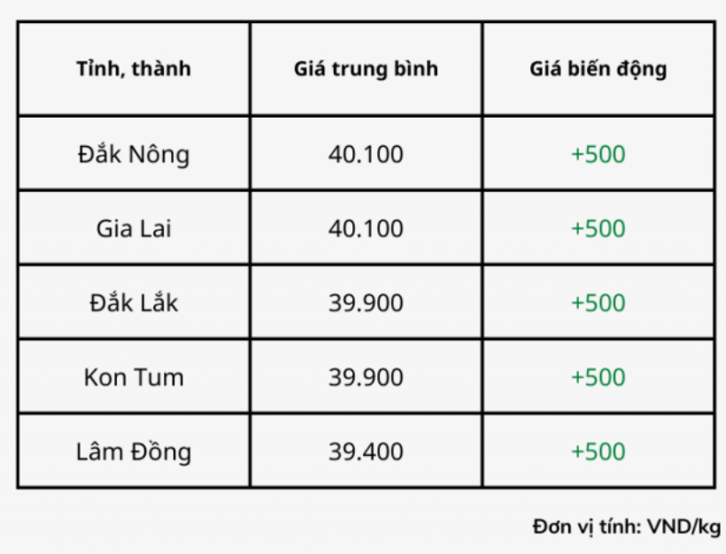 Giá cà phê hôm nay 11/1 tại một số địa phương.