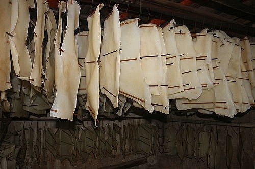 Thay bằng cách phơi bì ngoài trời, anh Thao sấy bì để đảm bảo vệ sinh