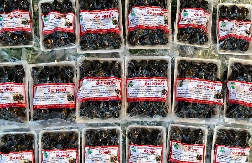 Để sản phẩm ốc nhồi được đảm bảo chất lượng, anh Hải và các thành viên trong Công ty TNHH Thiên Bảo đã đầu tư đưa máy làm sạch, hút chân không, xử lý đông lạnh rồi đóng gói để đưa vào các cửa hàng, siêu thị.