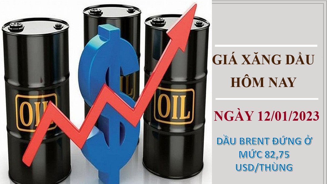 Giá dầu thô quay đầu tăng mạnh