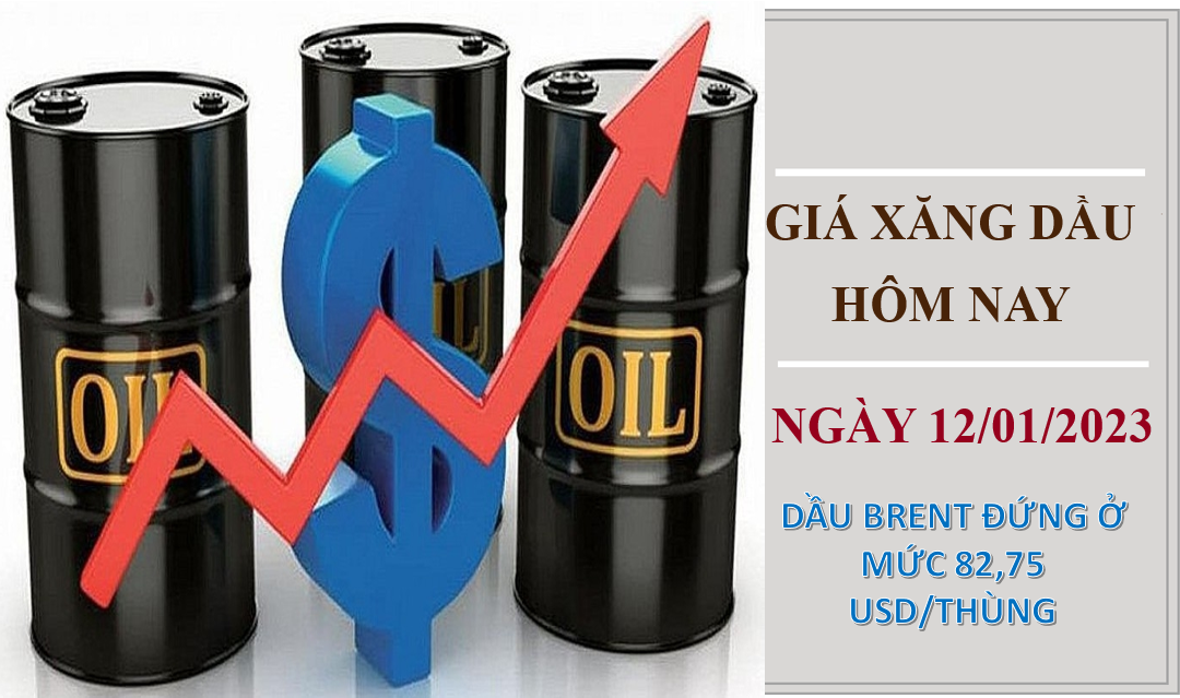 Giá dầu thô quay đầu tăng mạnh