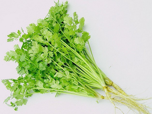 Cây rau mùi có tên khác là rau ngò, ngò rí, mùi ta, ngổ...