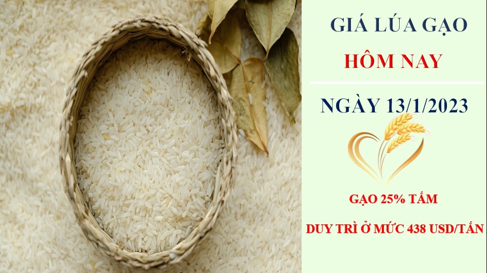 Giá lúa gạo hôm nay 13/1/2023: Nguồn gạo về ít, giá gạo neo ở mức cao