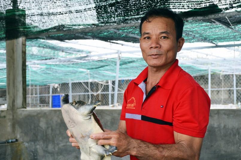 Cua đinh nuôi khoảng 3 năm rưỡi có thể sinh sản. Mỗi năm, chúng sinh sản khoảng 3 đợt, mỗi lần từ 8-12 trứng. Cua đinh nuôi khoảng 3 năm rưỡi có thể sinh sản. Mỗi năm, chúng sinh sản khoảng 3 đợt, mỗi lần từ 8-12 trứng.